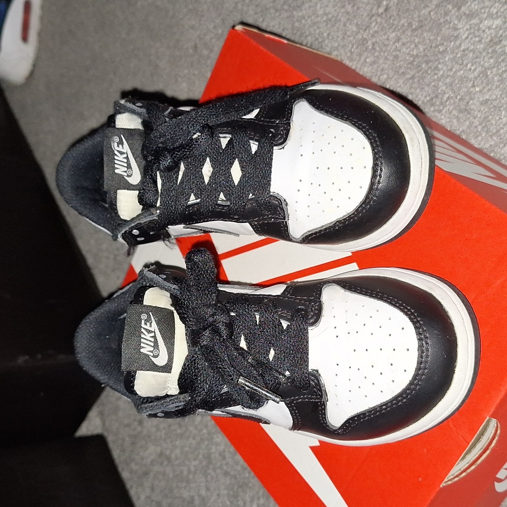 Nike Dunk Size 1 Youth
